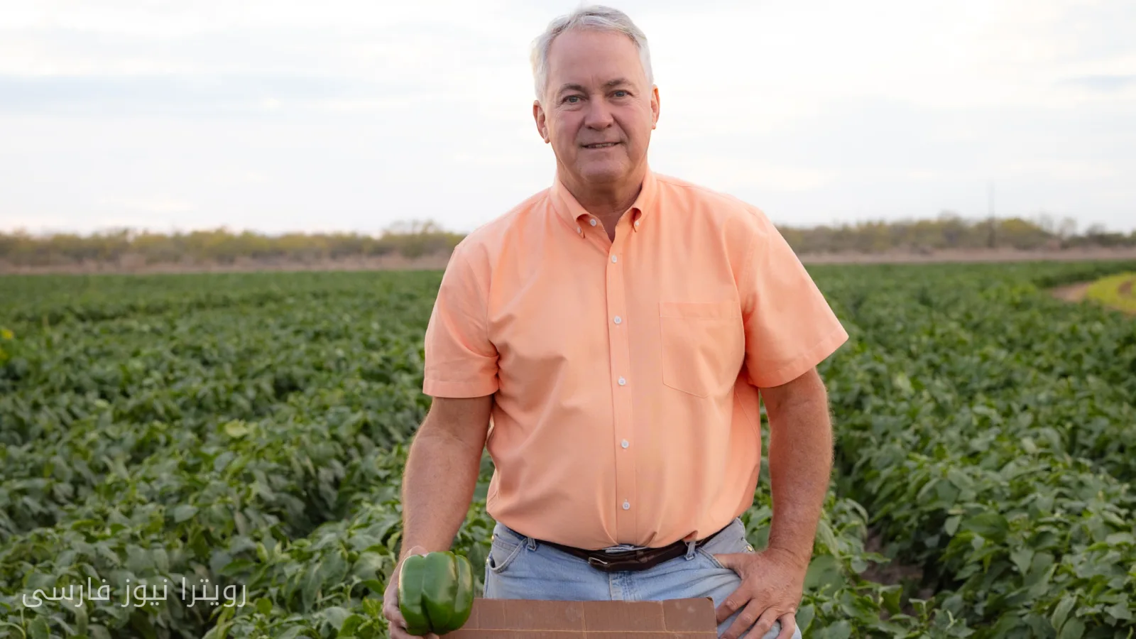 توسعه نیروگاه‌های خورشیدی در تگزاس و تغییرات در کشاورزی