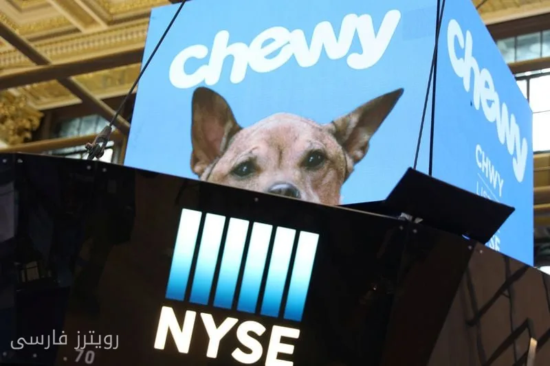 Chewy: Financial Success and Bright Outlook for the Current Year