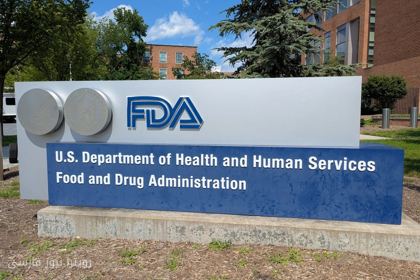 FDA منبع احتمالی شیوع سایکلوپوریا را در رابطه با کاهو شناسایی کرد